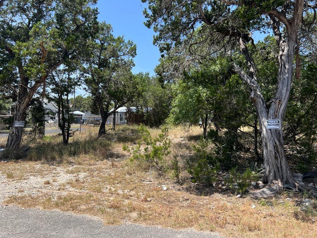 619 Cactus Flower Property Photo 3