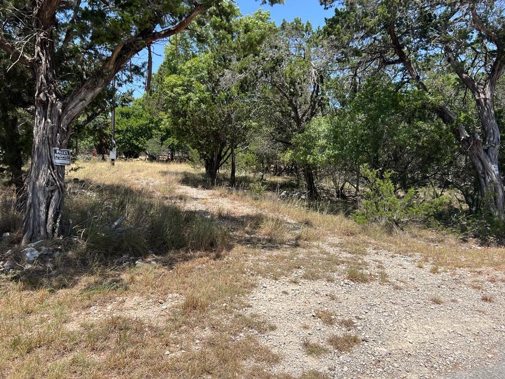 619 Cactus Flower Property Photo 5