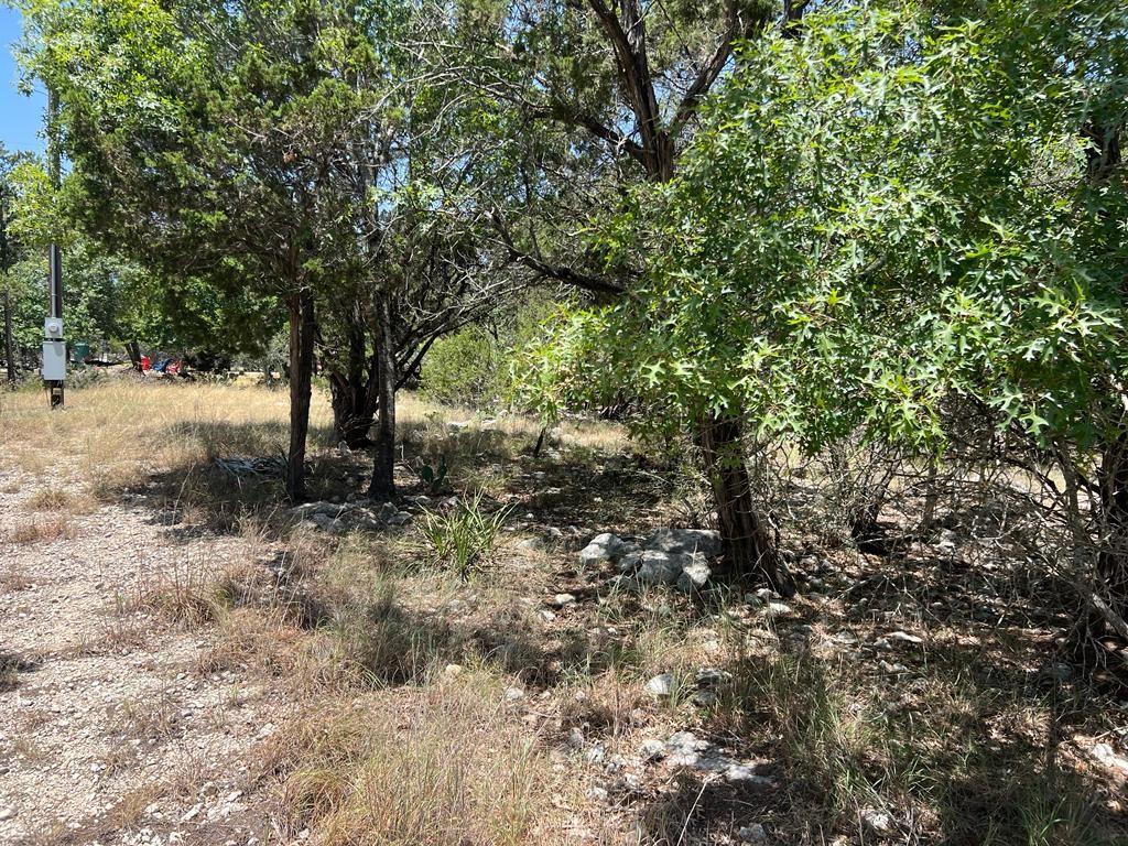 619 Cactus Flower Property Photo 6