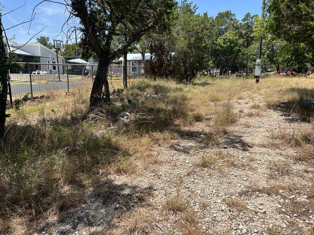 619 Cactus Flower Property Photo 7