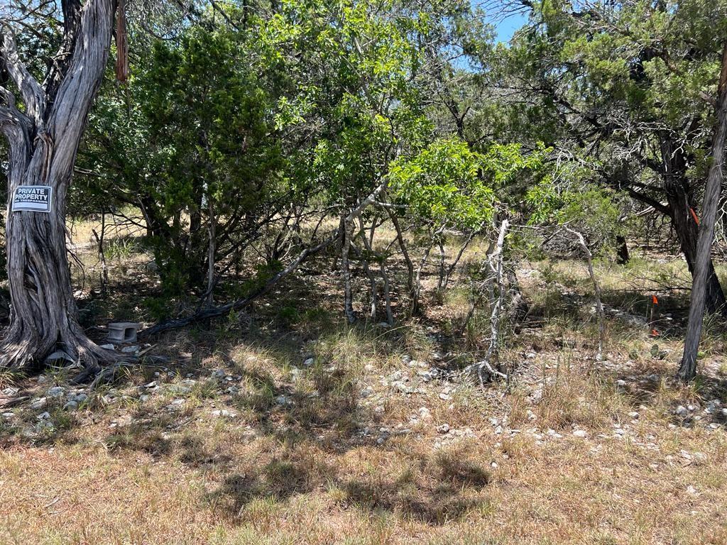 619 Cactus Flower Property Photo 8