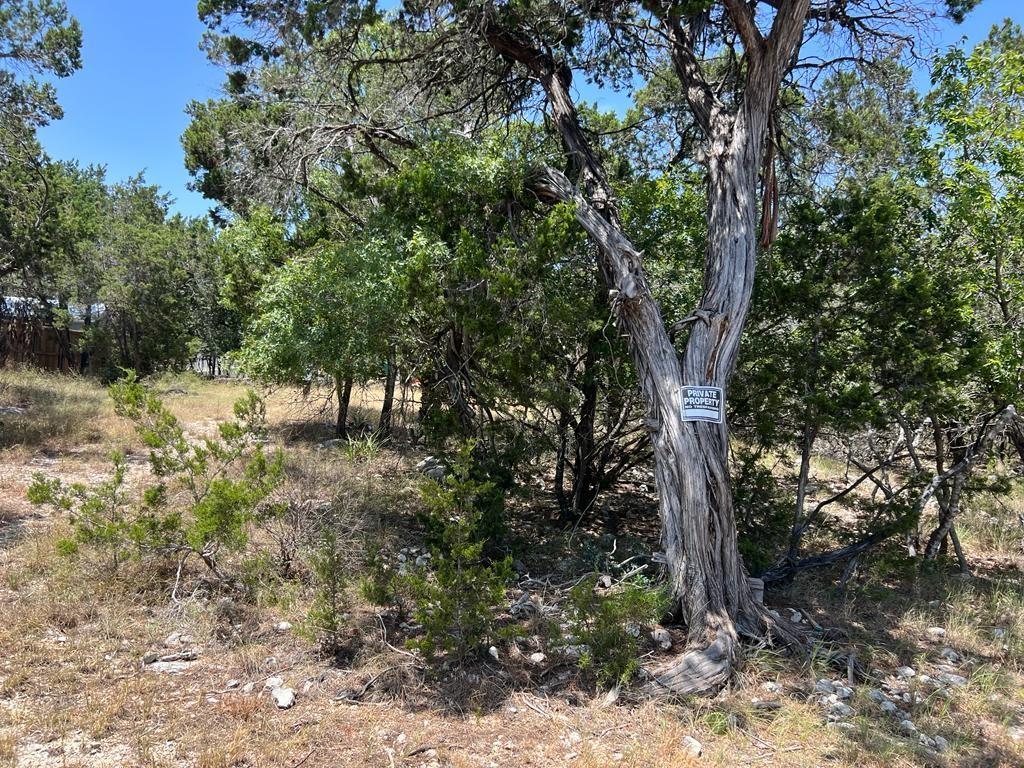 619 Cactus Flower Property Photo 9