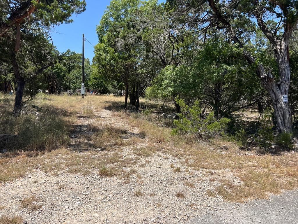 619 Cactus Flower Property Photo 12