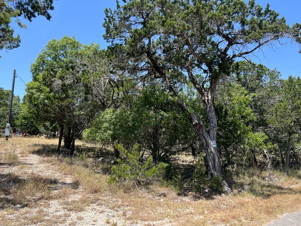 619 Cactus Flower Property Photo 14