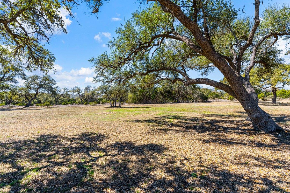 15400 Fm 1826 None Property Photo 34