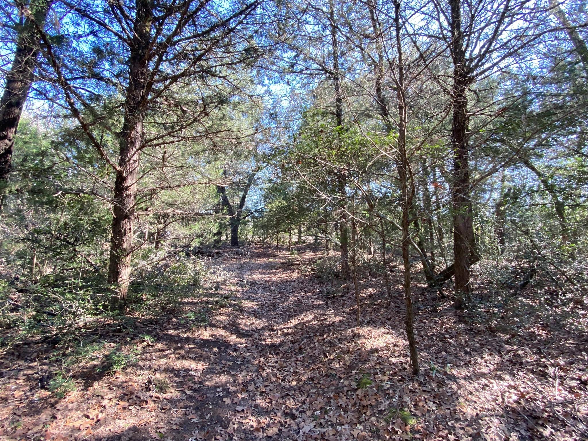 Tbd County Road 401 Property Photo 11