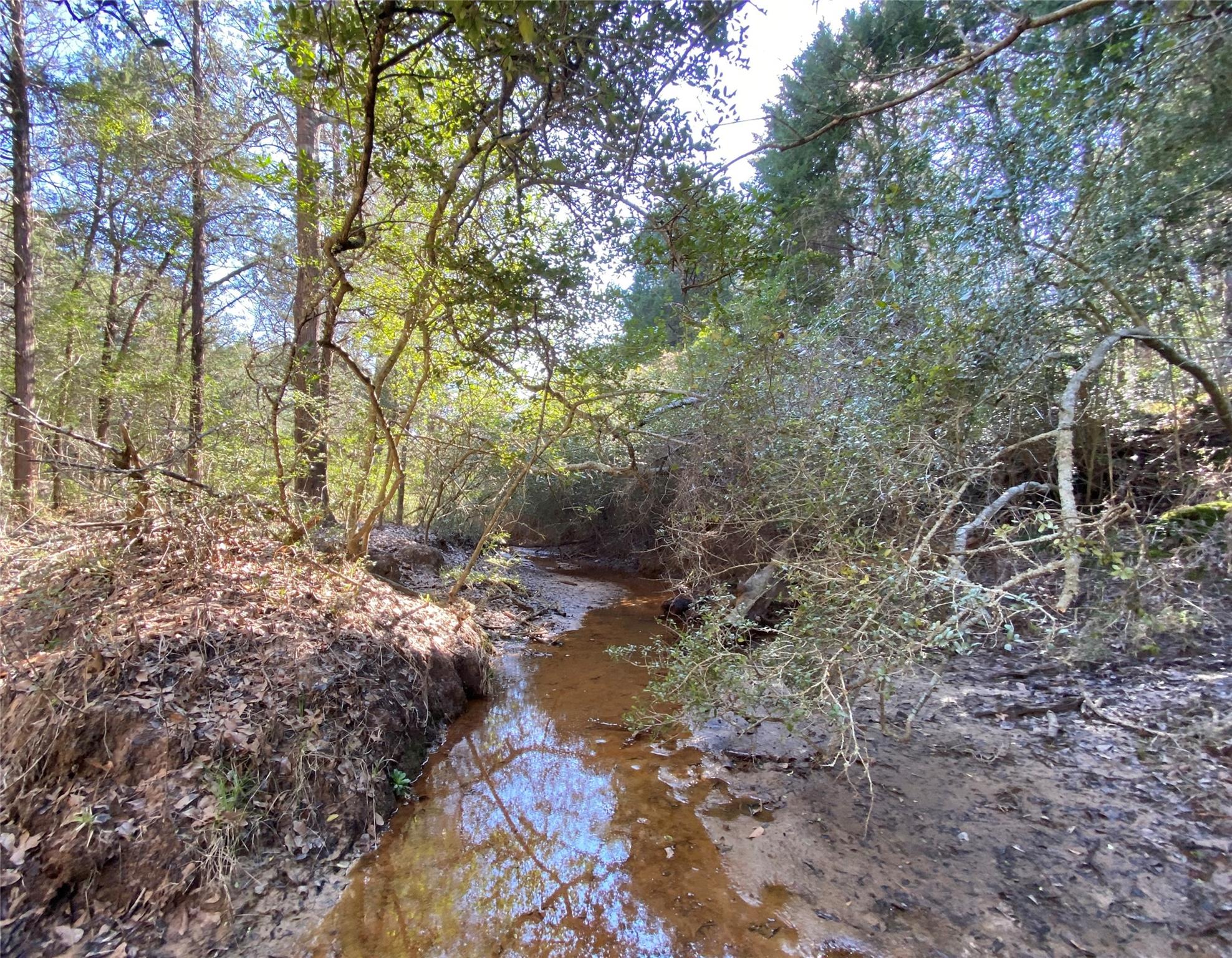 Tbd County Road 401 Property Photo 16