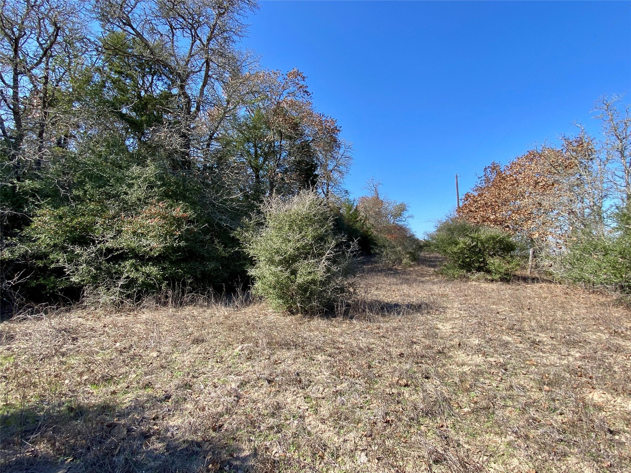 Tbd County Road 401 Property Photo 22