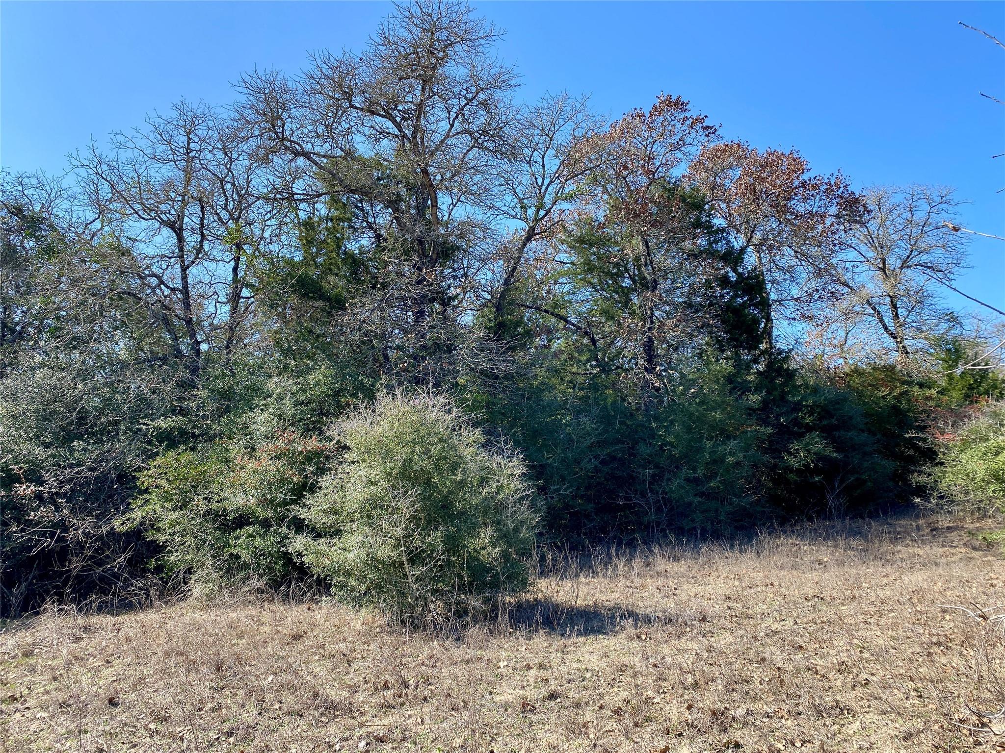 Tbd County Road 401 Property Photo 23