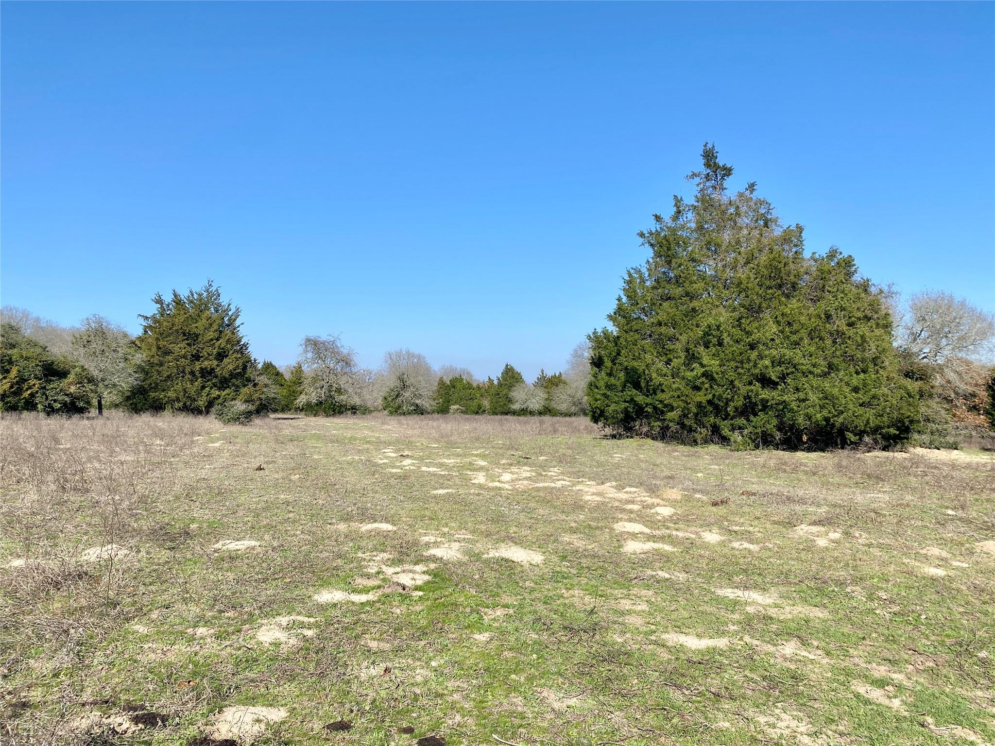 Tbd County Road 401 Property Photo 25