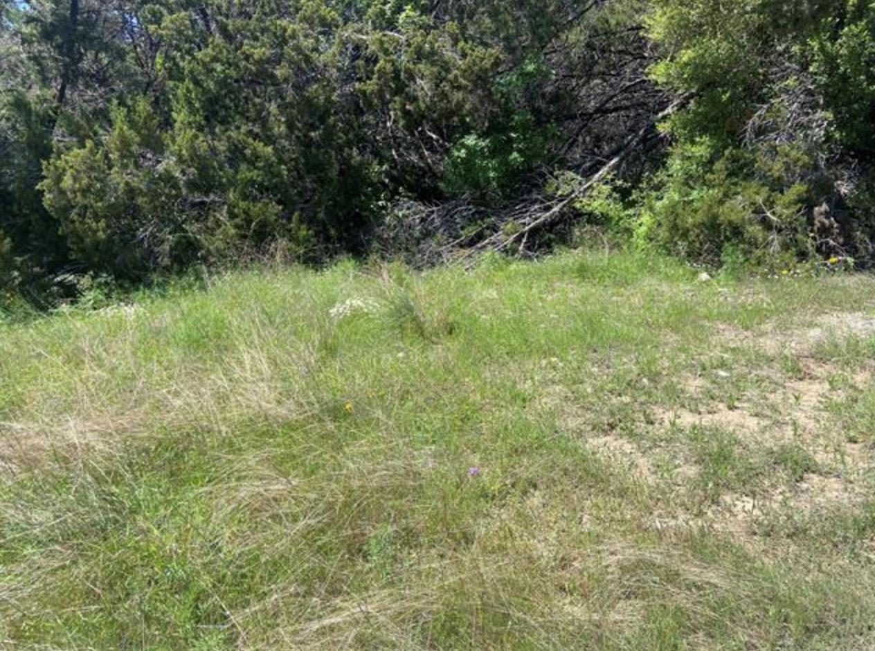 20601 Oxbow Trl Property Photo 8