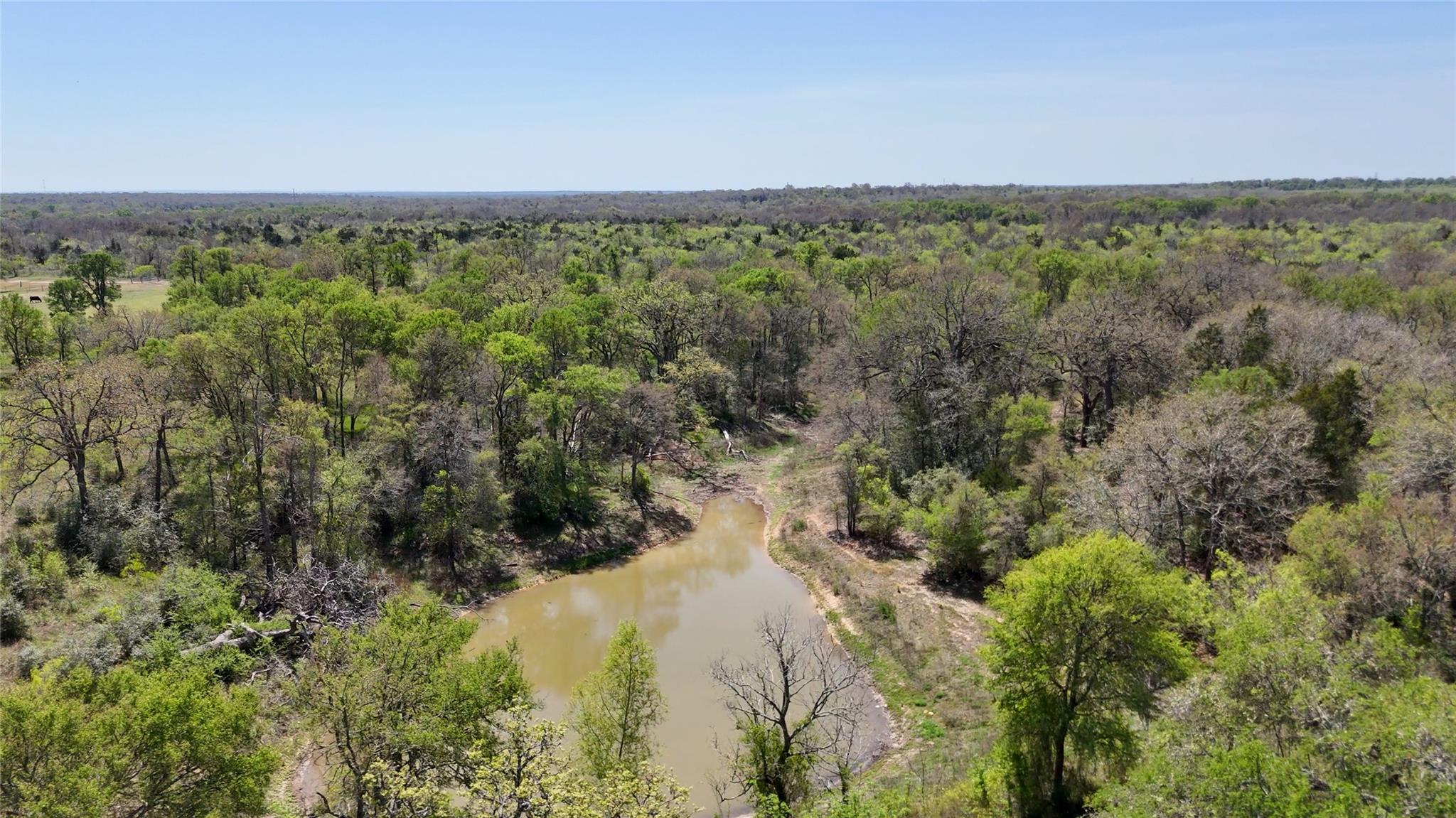 Tbd White Tail Dr Property Photo 1