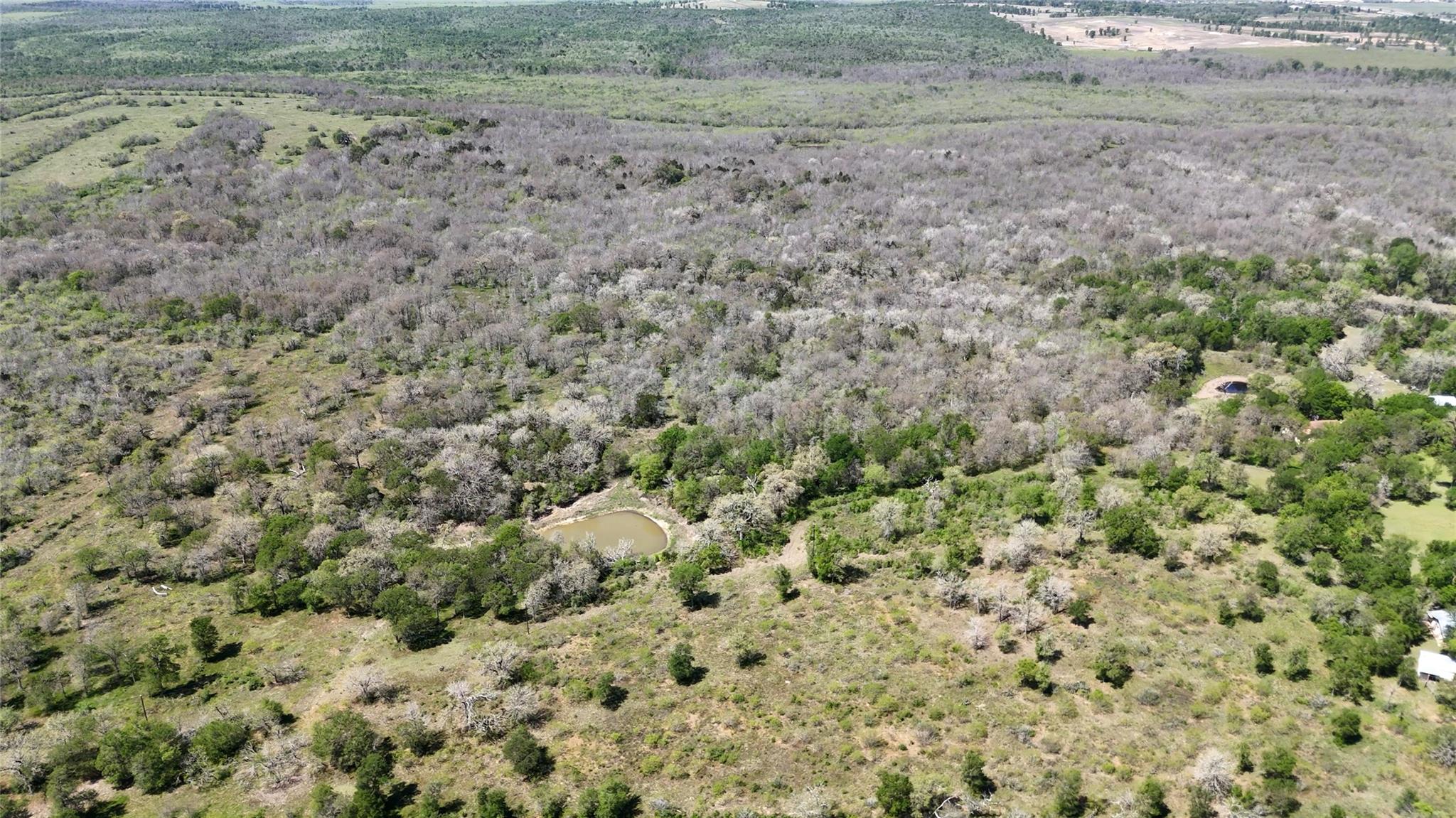 Tbd White Tail Dr Property Photo 2