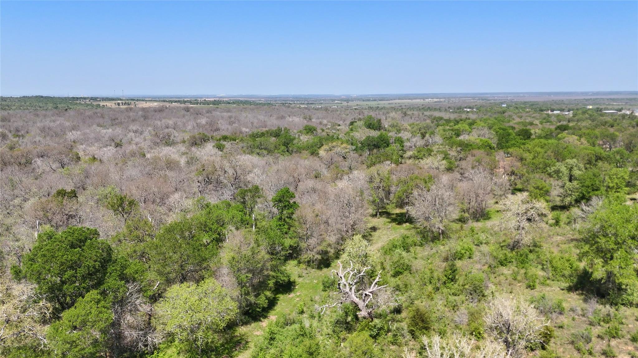 Tbd White Tail Dr Property Photo 6