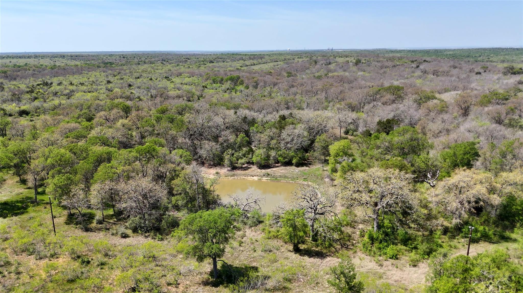 Tbd White Tail Dr Property Photo 8