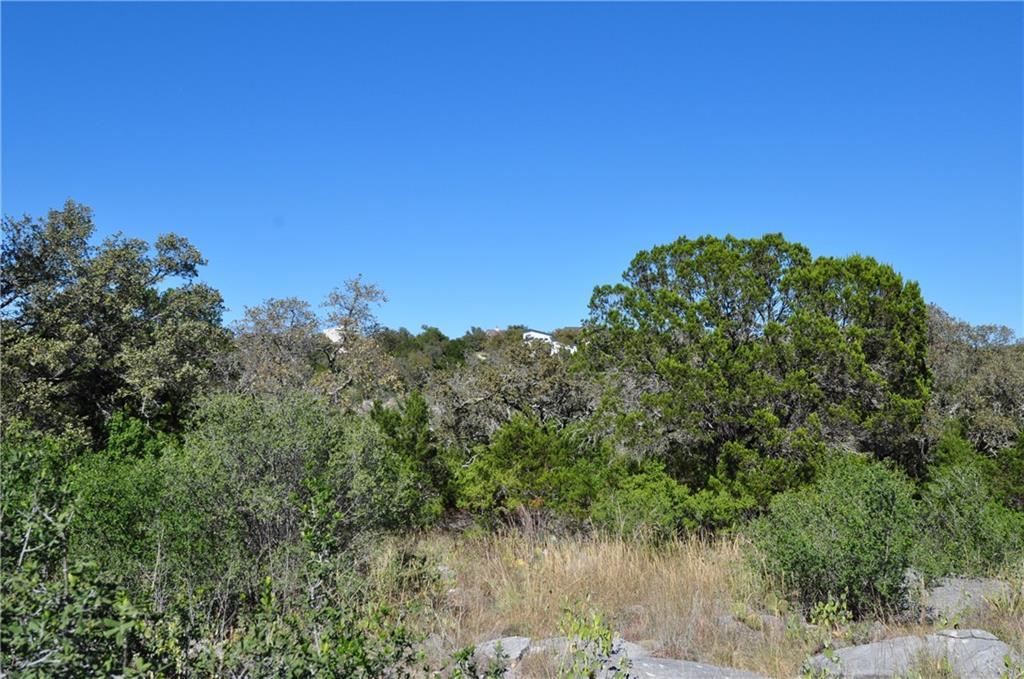 41109 Thanksgiving Mountain Rd Property Photo 6