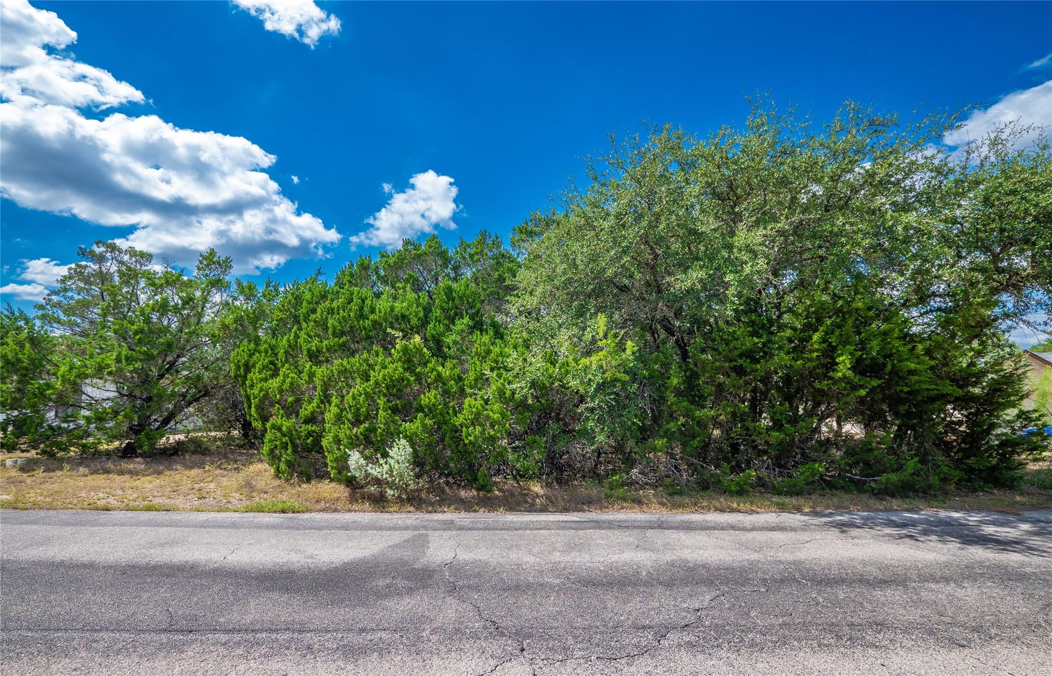 6206 La Mesa St Property Photo 4