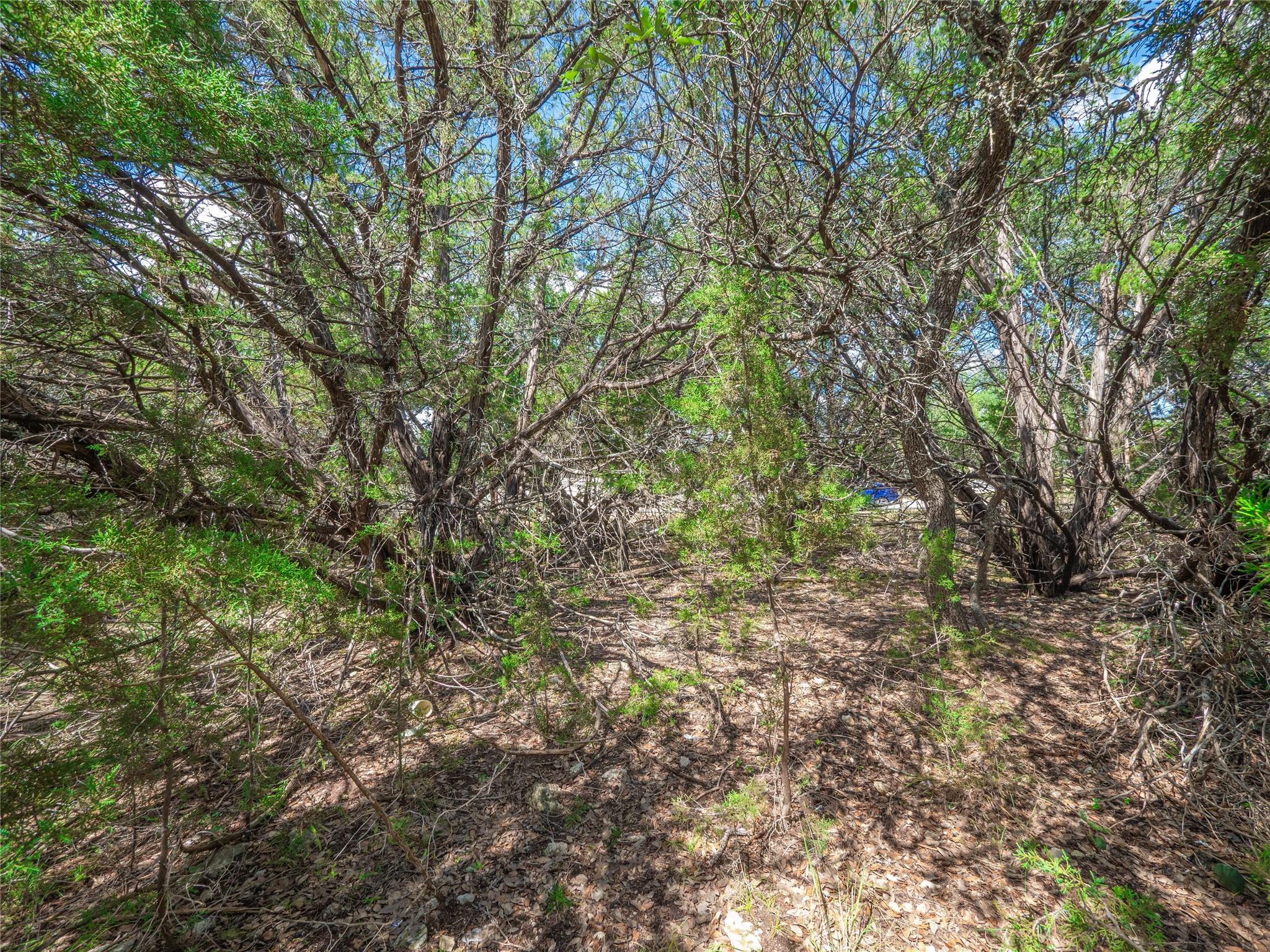6206 La Mesa St Property Photo 8
