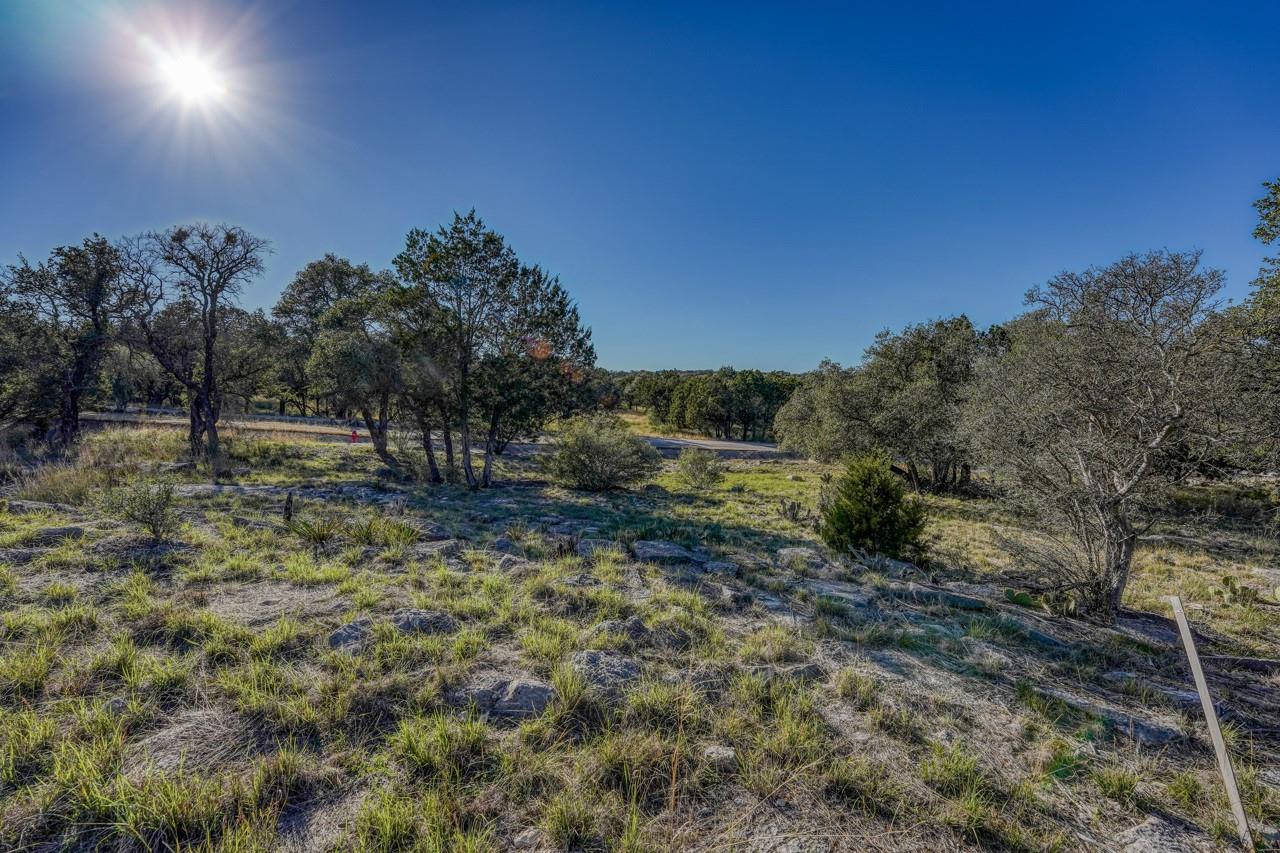 14098 Southwind None Property Photo 1