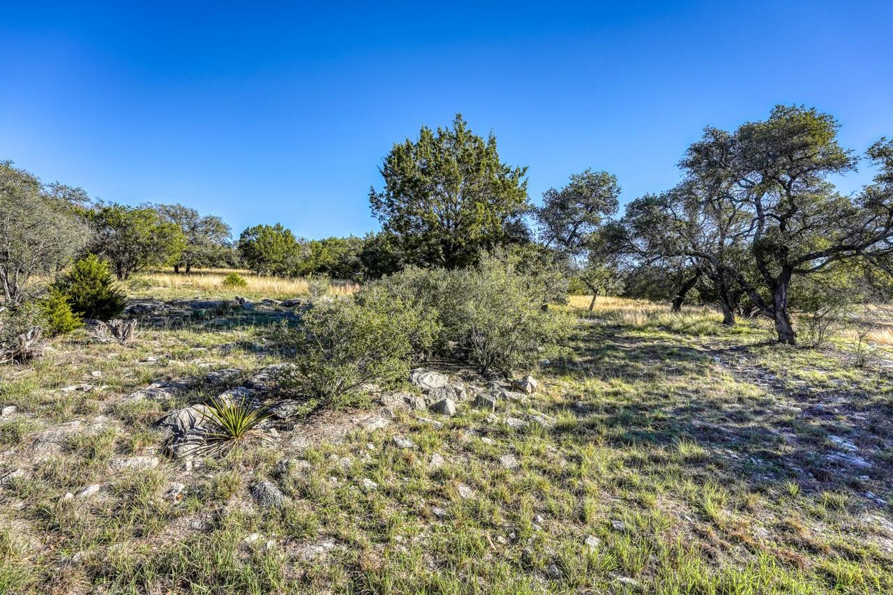14098 Southwind None Property Photo 7