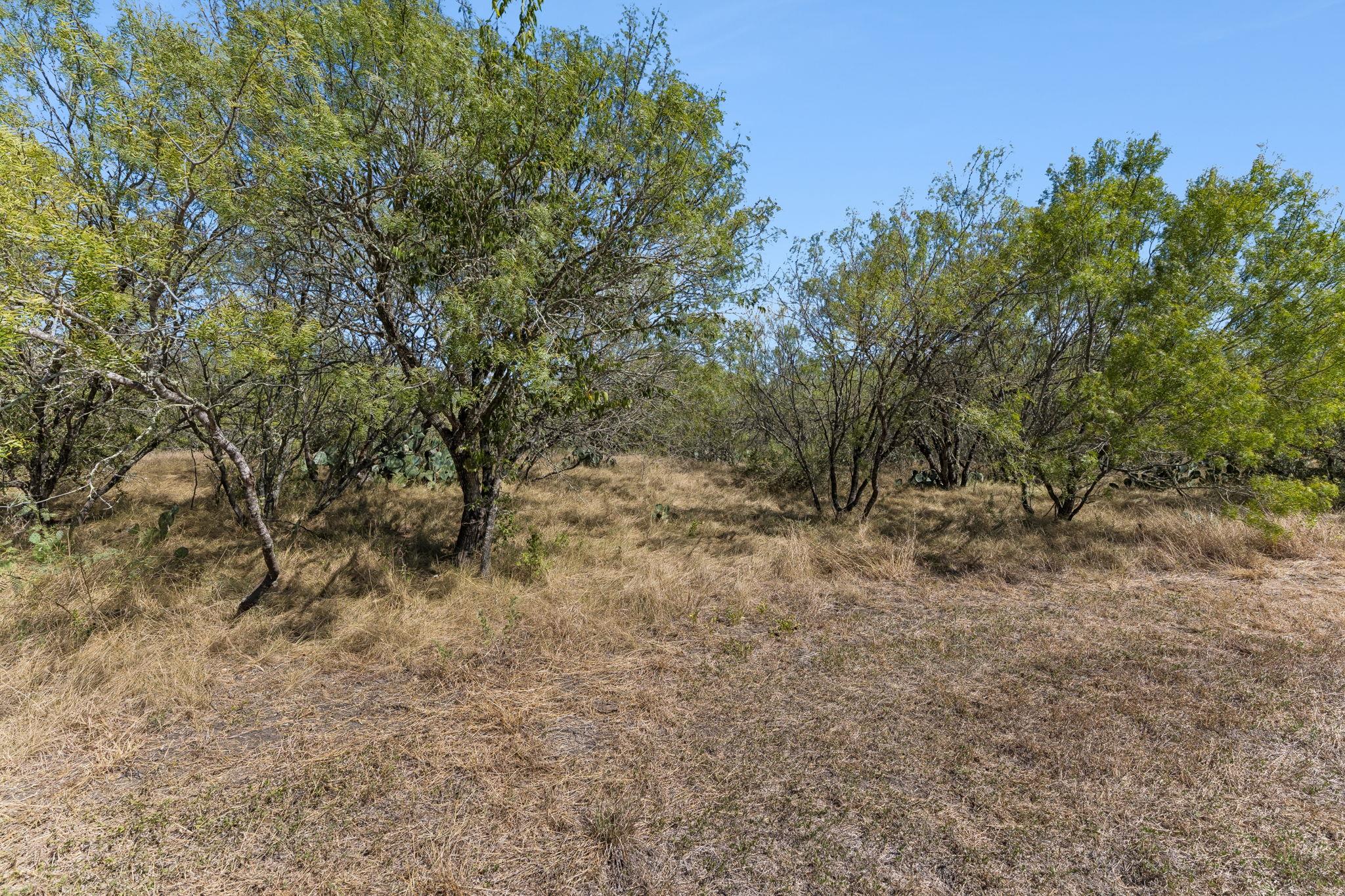 200 Armstrong Rd Property Photo 8