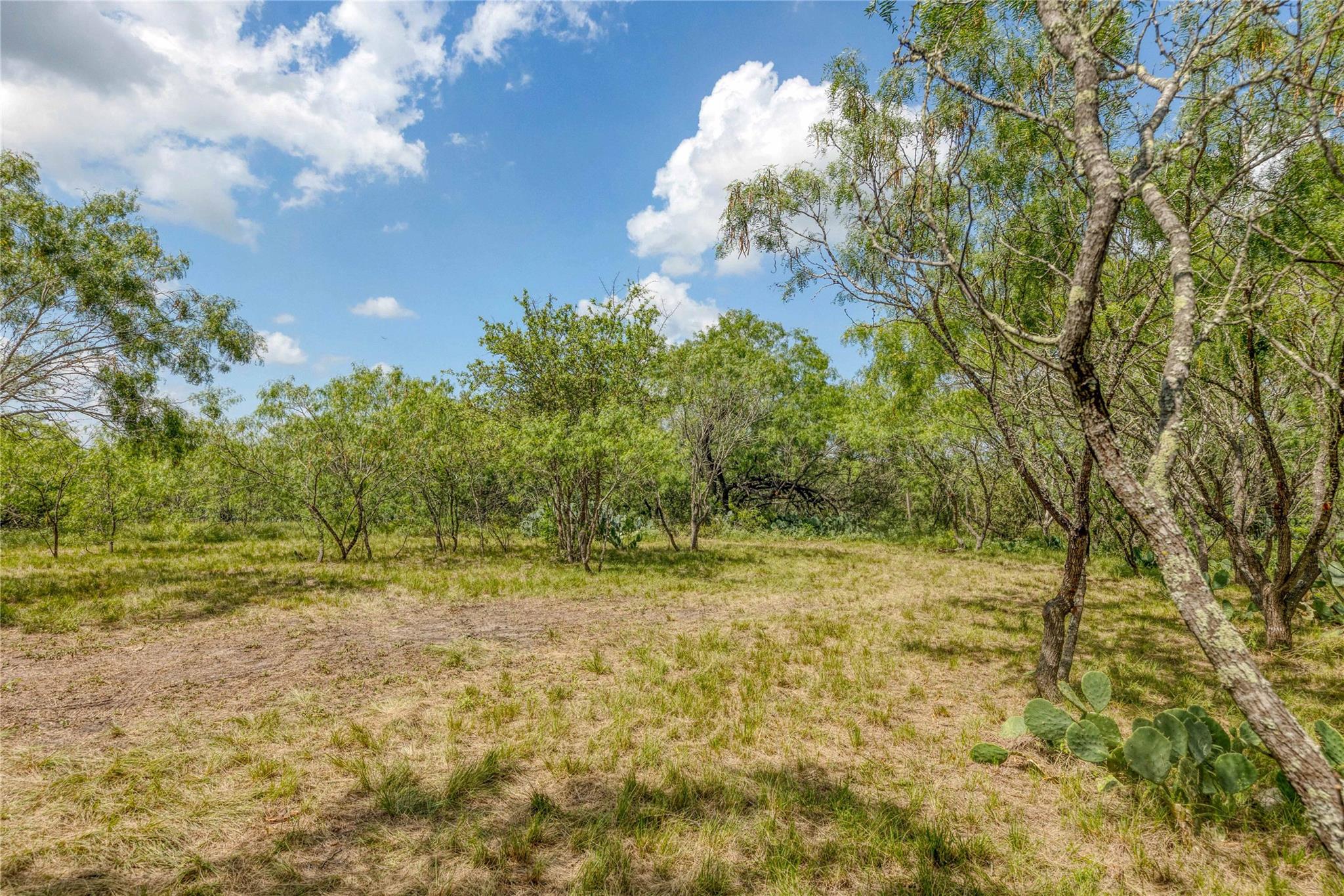 200 Armstrong Rd Property Photo 12