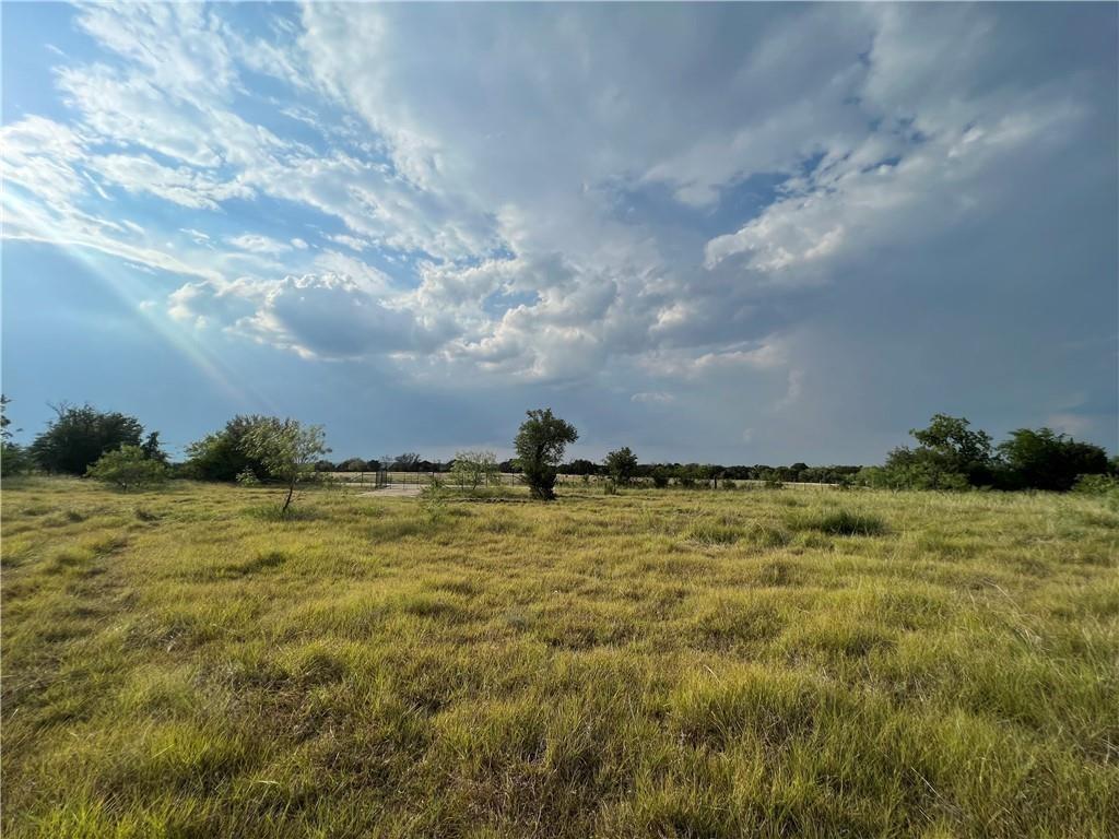 Tbd County Road 421 Property Photo 3