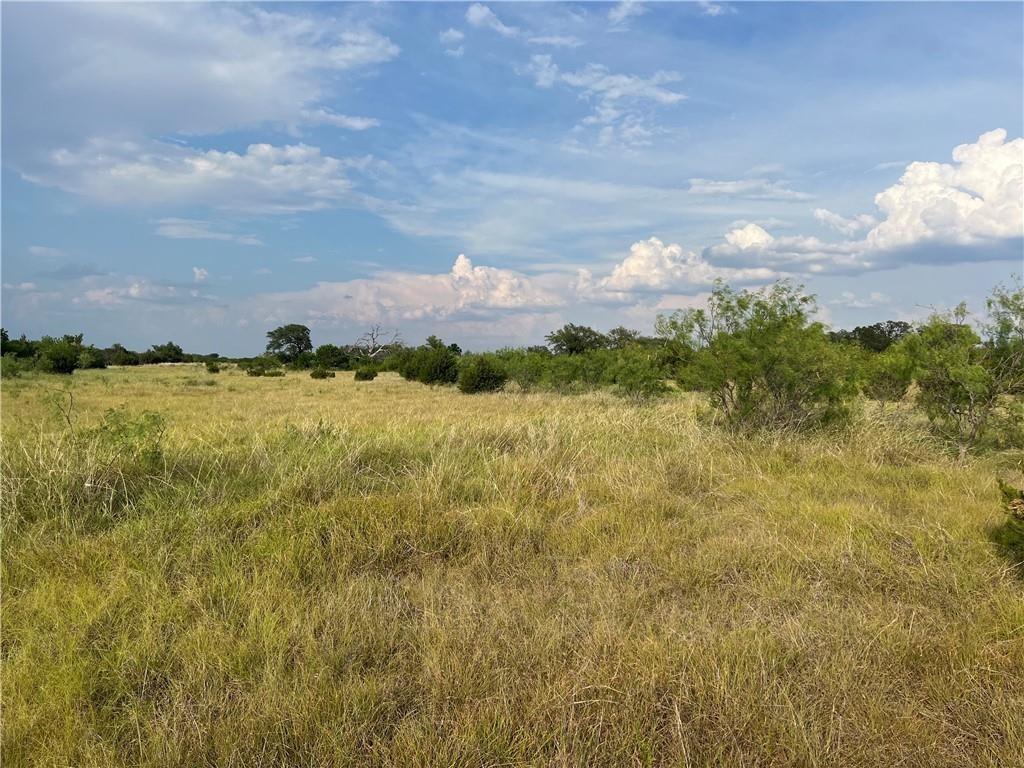 Tbd County Road 421 Property Photo 5