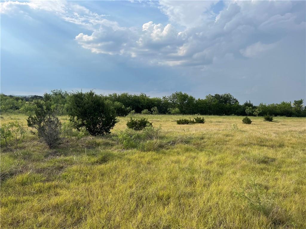 Tbd County Road 421 Property Photo 7