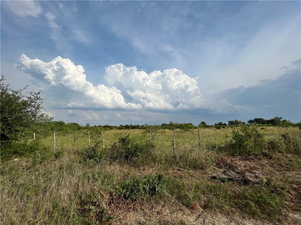 Tbd County Road 421 Property Photo 9