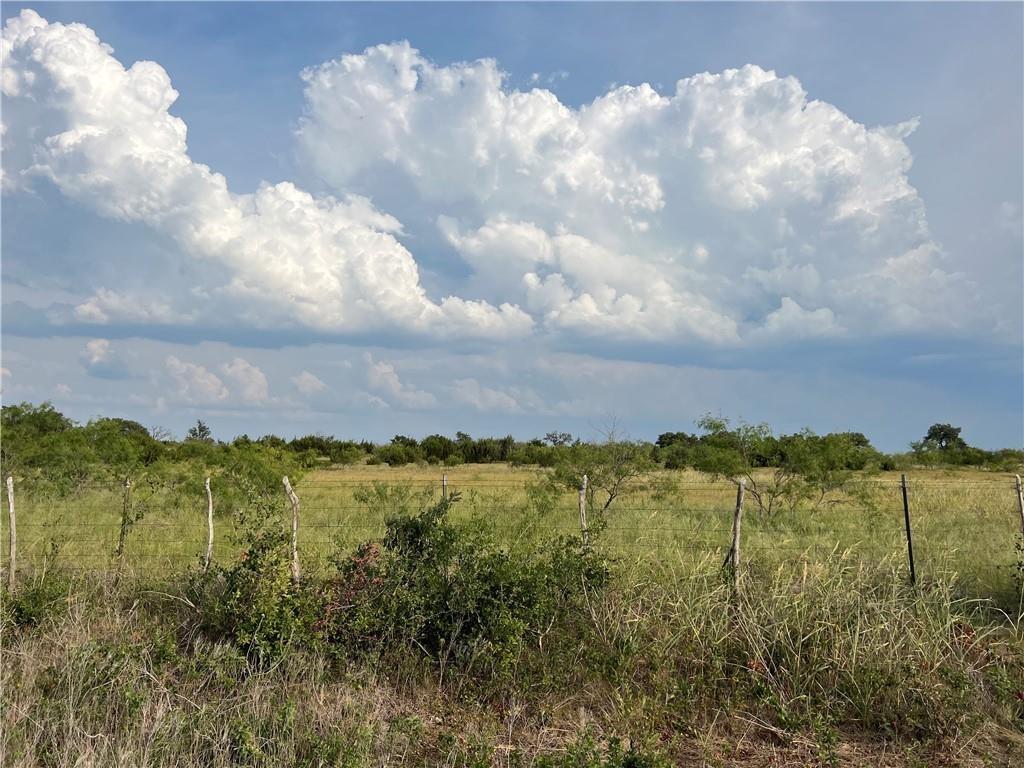 Tbd County Road 421 Property Photo 10