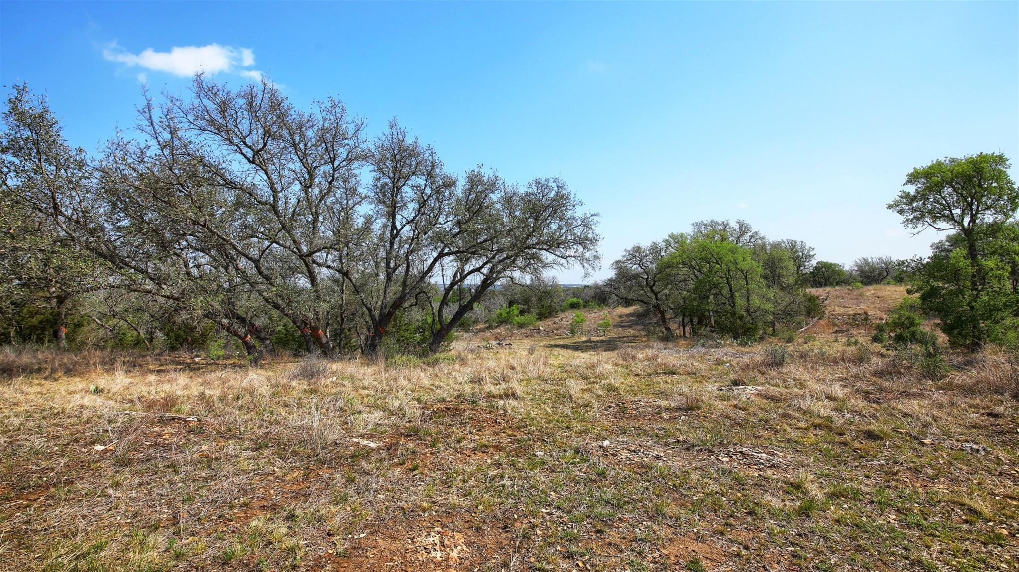0000 Mormon Mill Rd Property Photo 14