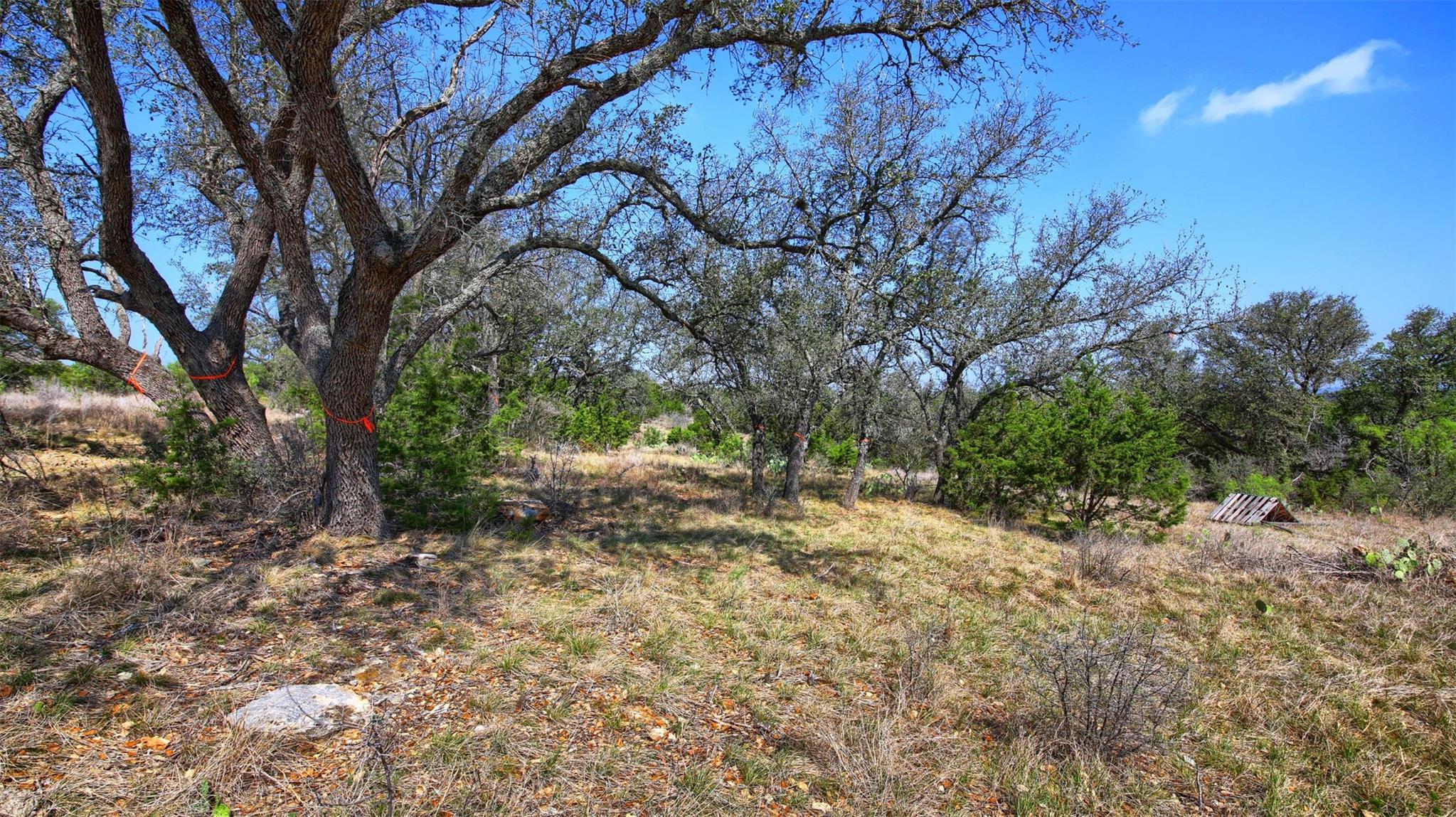 0000 Mormon Mill Rd Property Photo 15