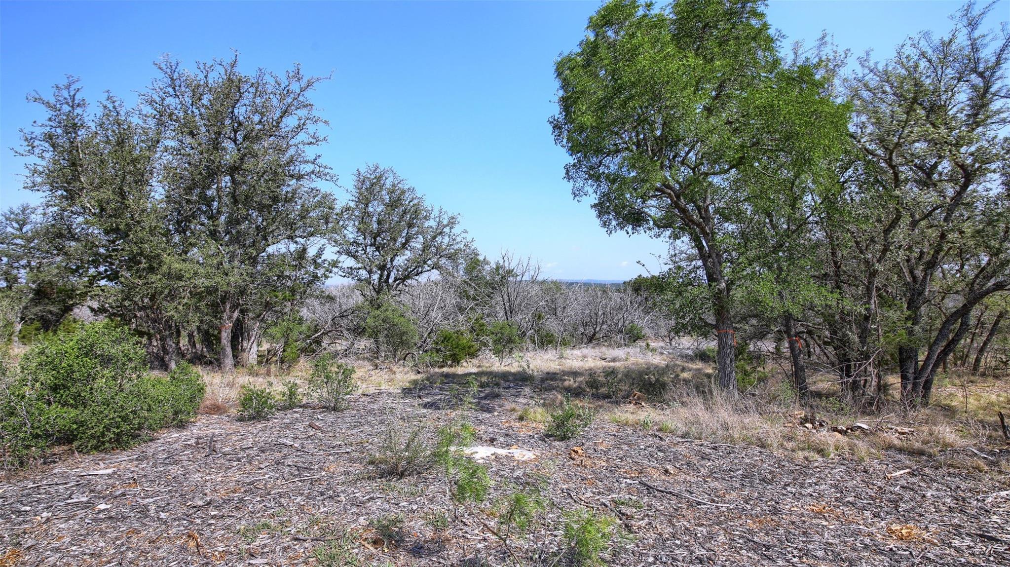 0000 Mormon Mill Rd Property Photo 24
