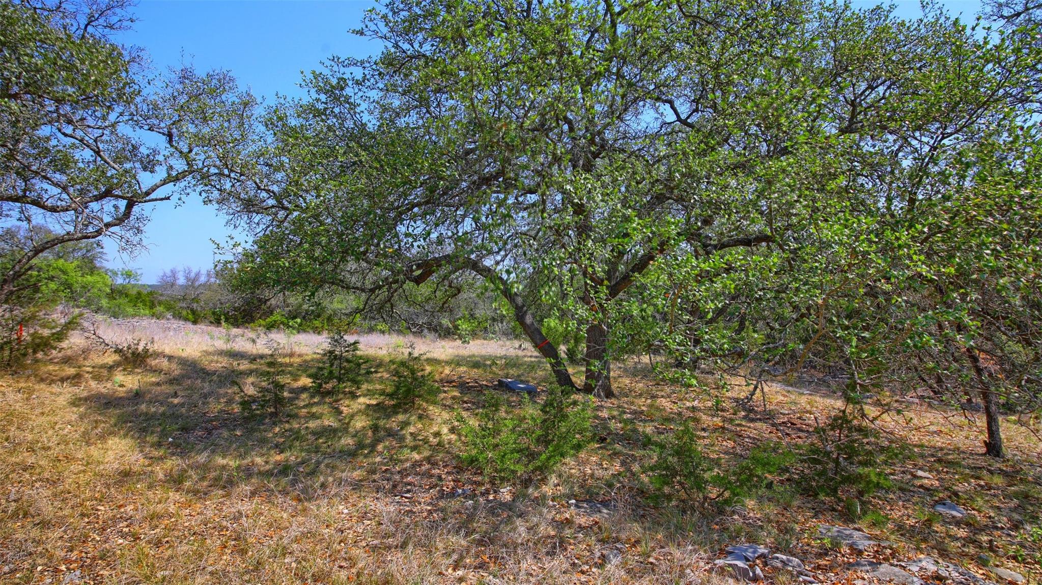 0000 Mormon Mill Rd Property Photo 34