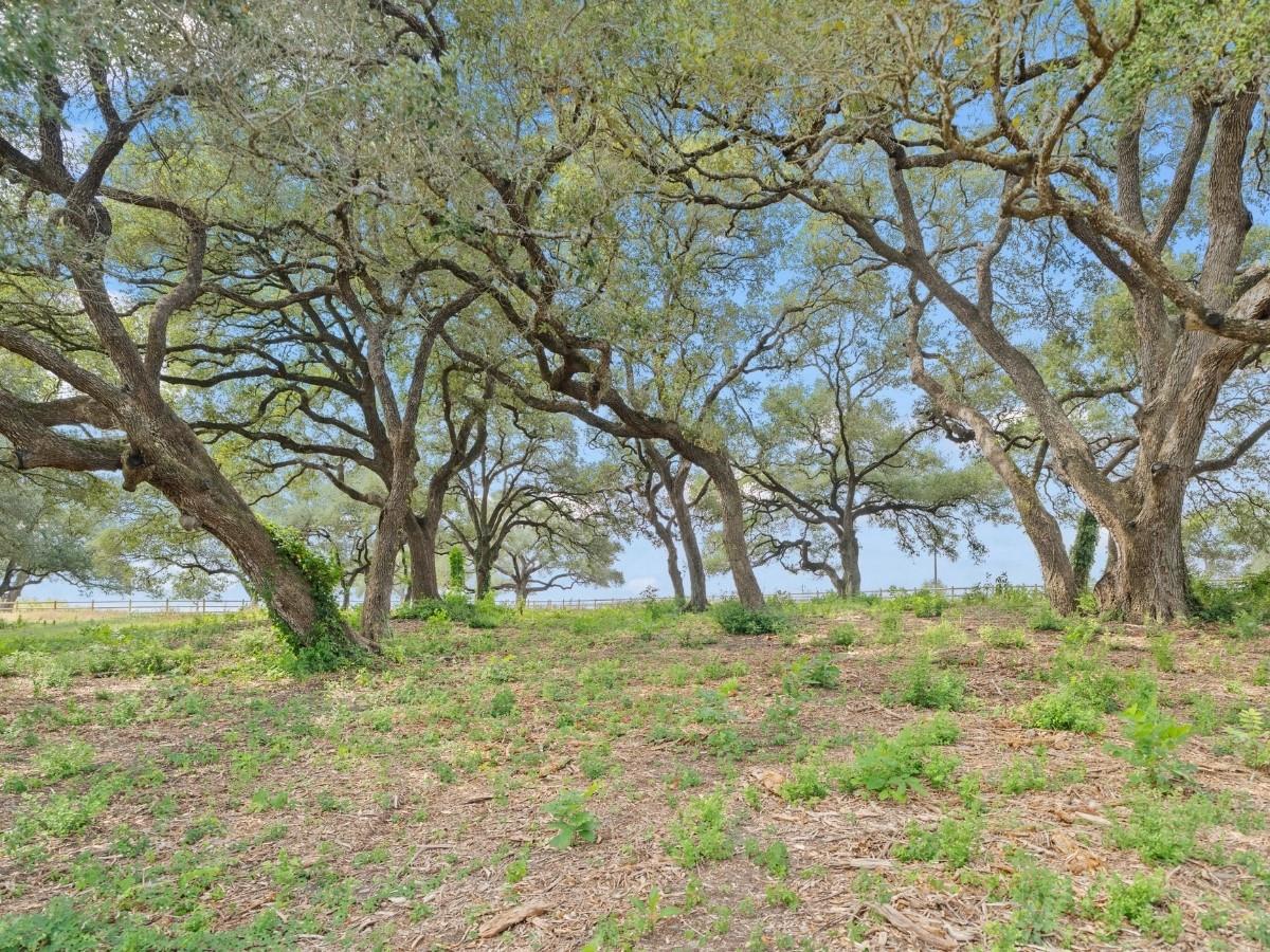 3147 Fm 956 None Property Photo 16