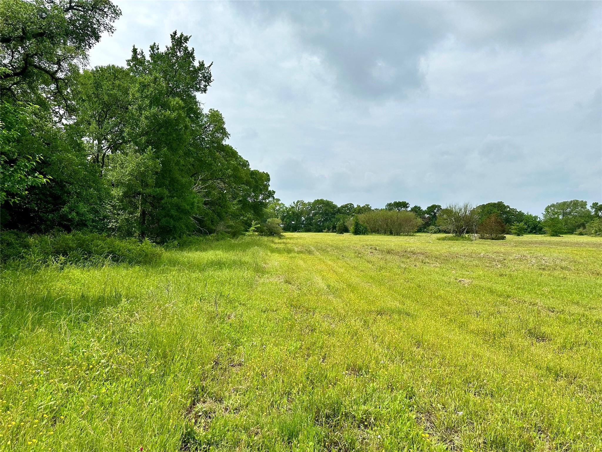 00 Quarry Rd Property Photo 3