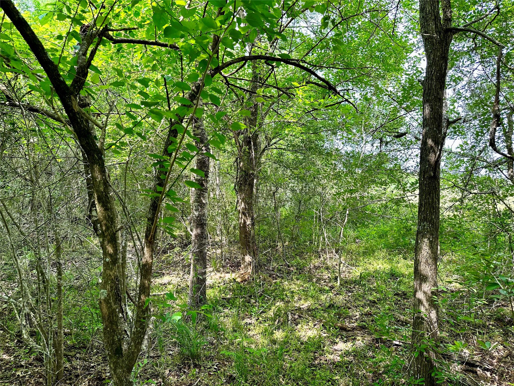 00 Quarry Rd Property Photo 8