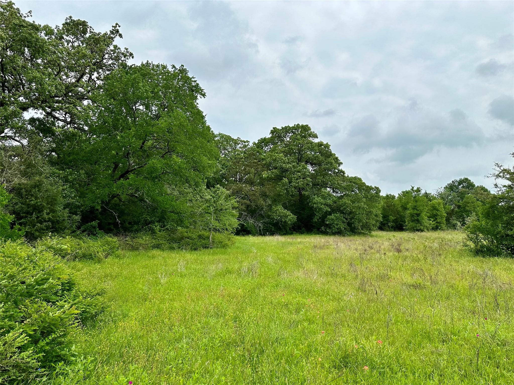 00 Quarry Rd Property Photo 12