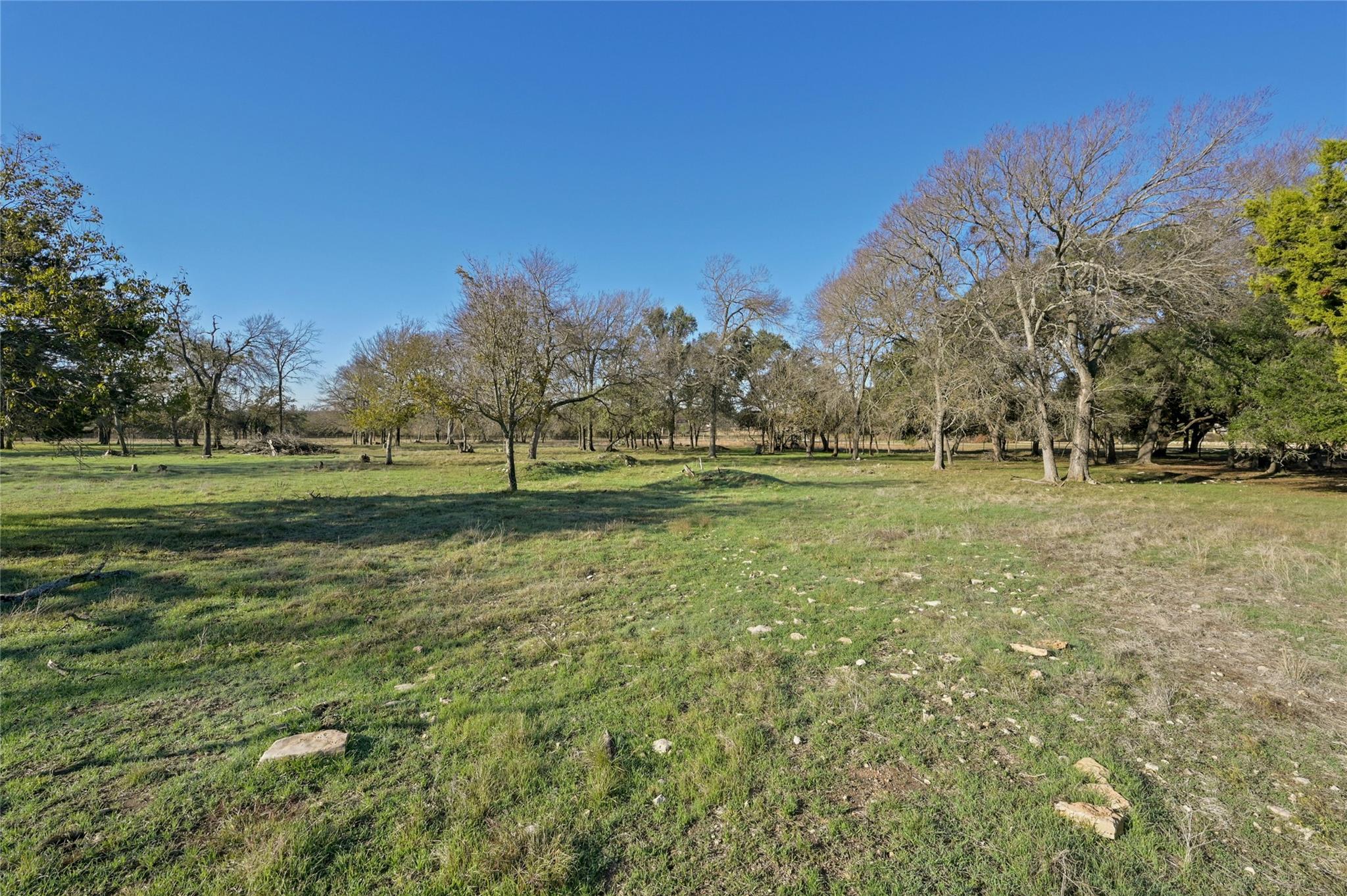 105 Deep Lake Cir Property Photo 19