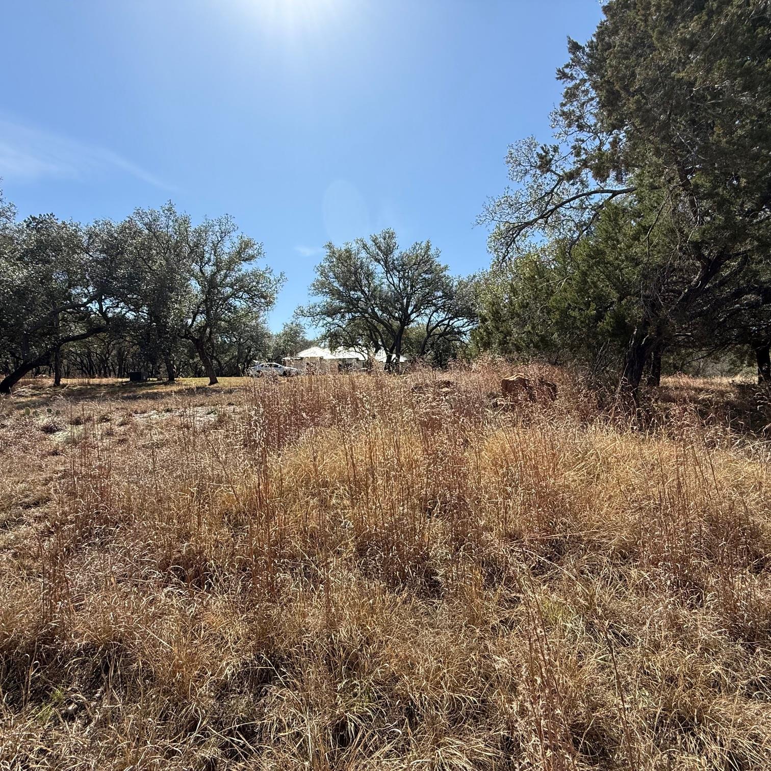 210 Cactus Cor Property Photo 3