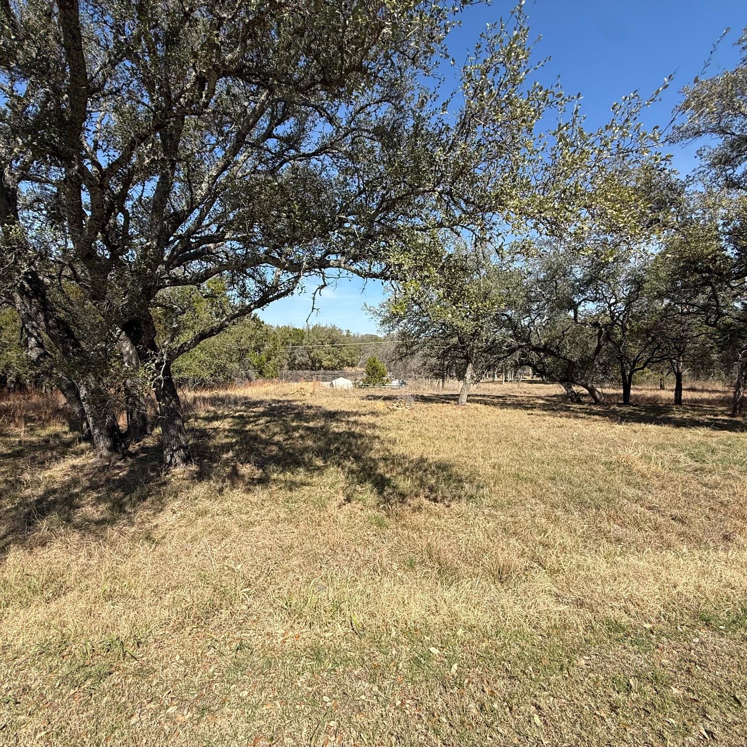 210 Cactus Cor Property Photo 6