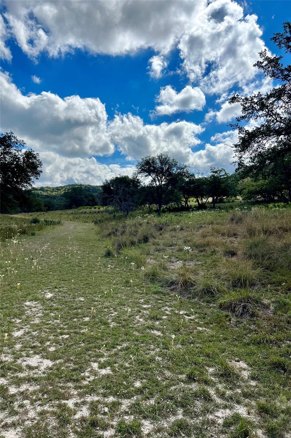 Lot 58 Red Stag Ln Property Photo 5