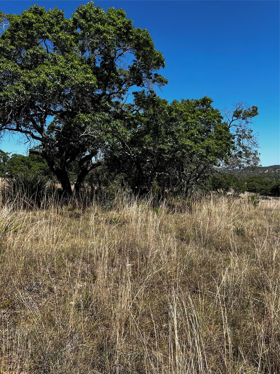 Lot 58 Red Stag Ln Property Photo 7