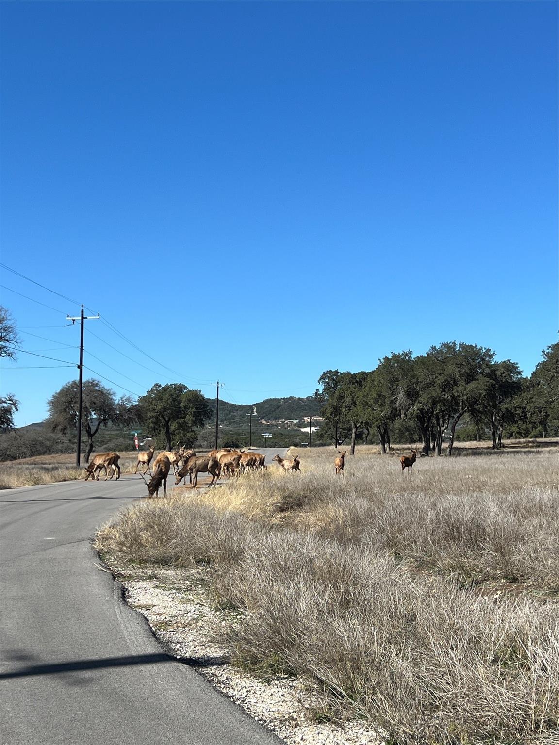 Lot 58 Red Stag Ln Property Photo 10
