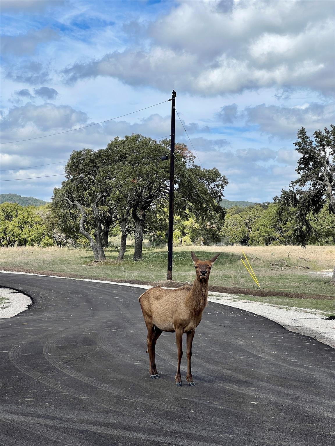 Lot 58 Red Stag Ln Property Photo 11