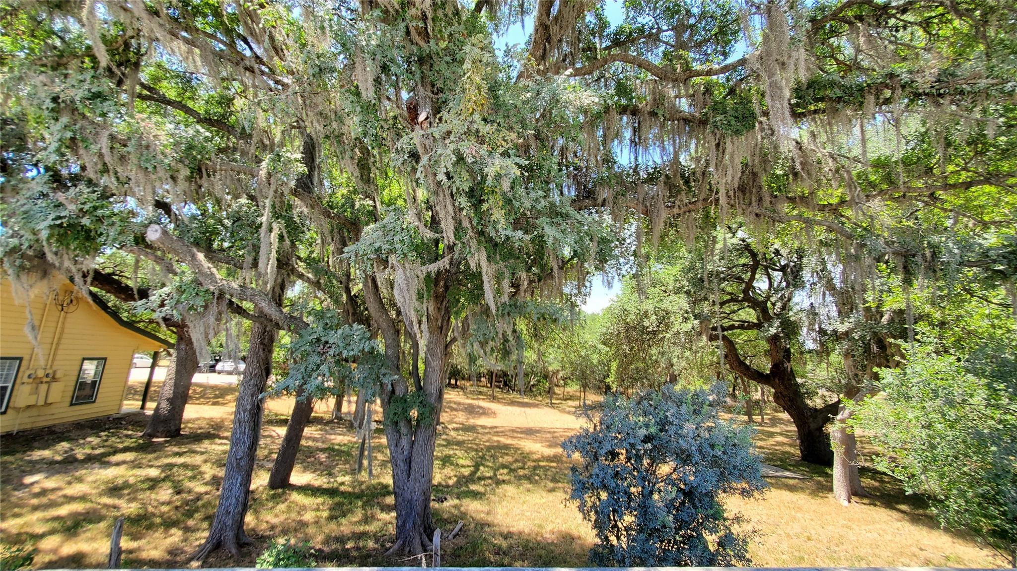 102 Whitetail Dr #200-e Property Photo 11