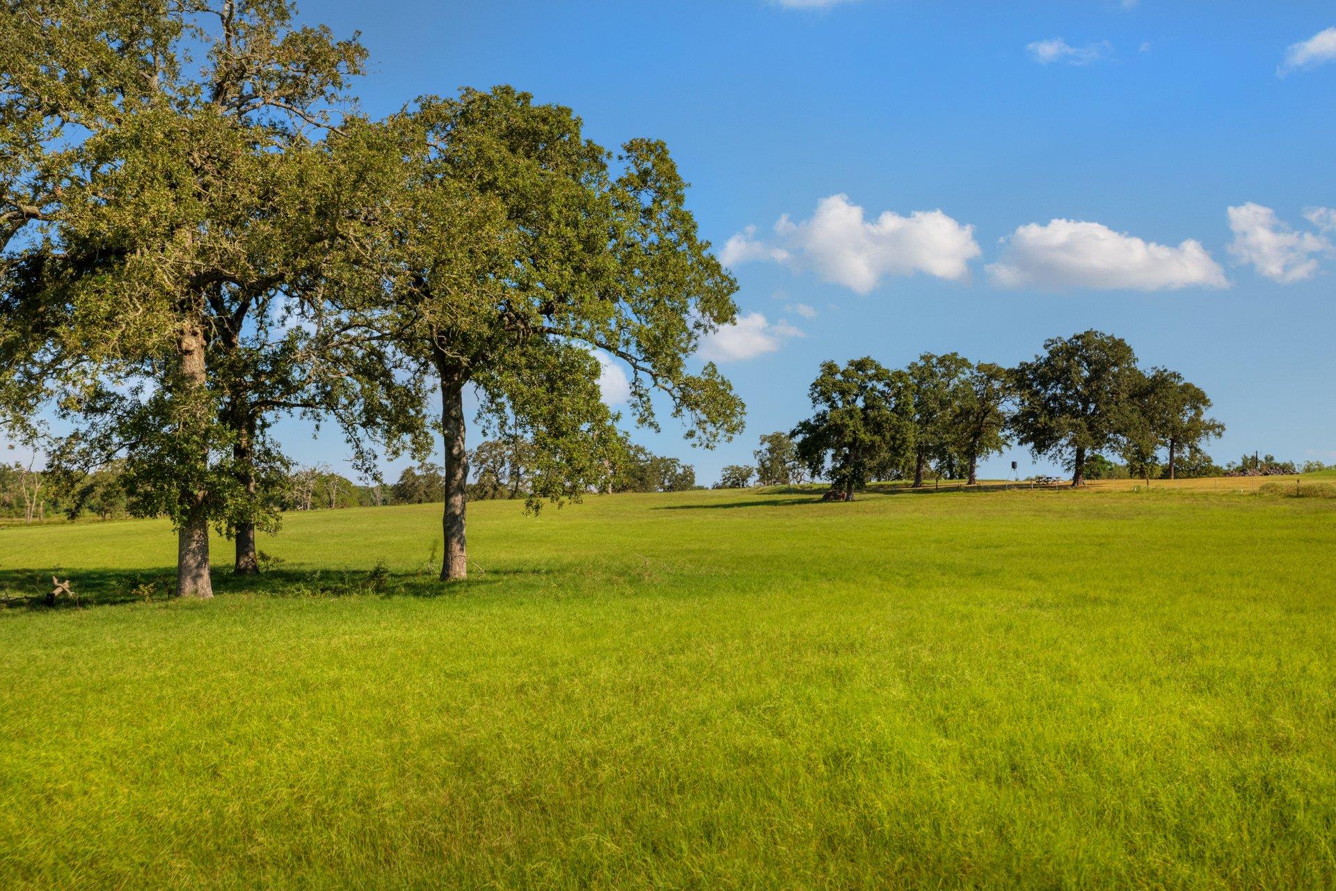 Tbd Cr 302 Rd Property Photo 2