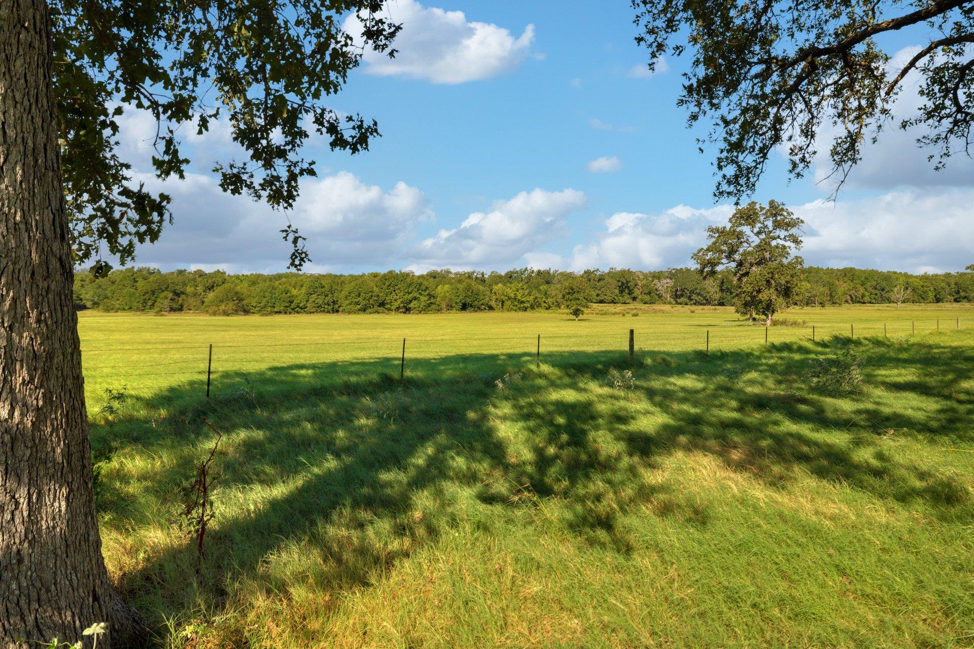 Tbd Cr 302 Rd Property Photo 4