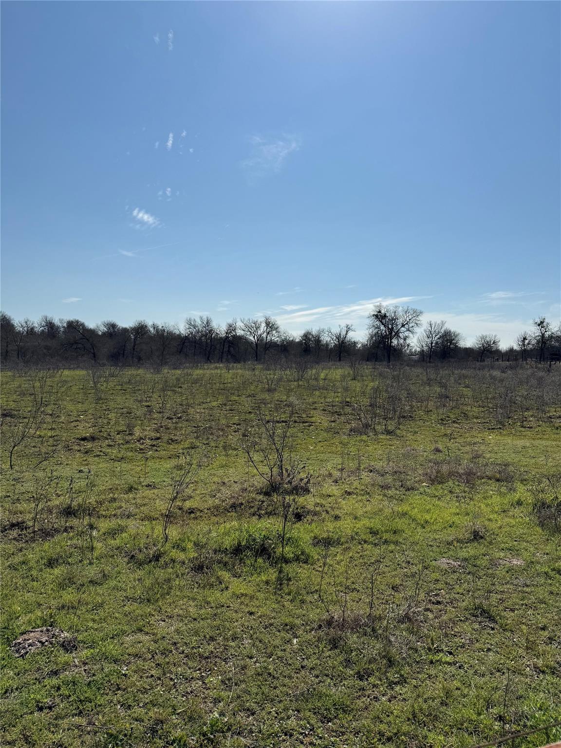 000 White Tail Dr Property Photo 6